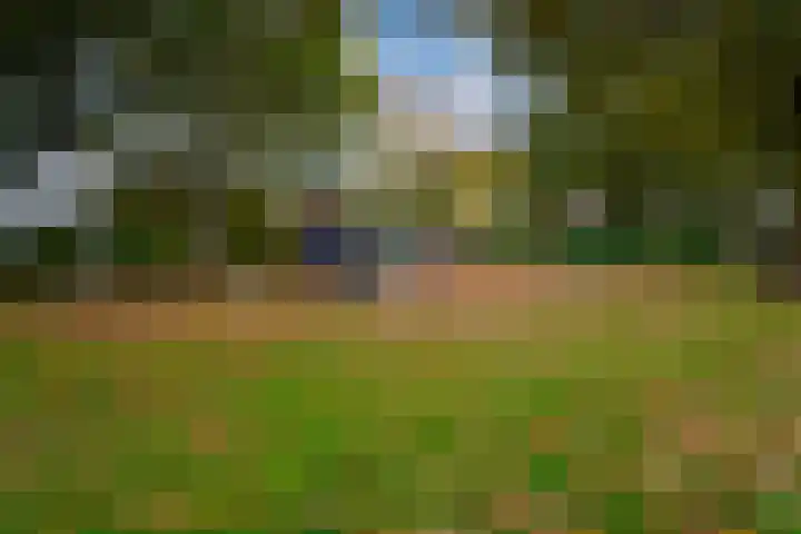 Westeinde 92 Zevenaar thumbnail 33