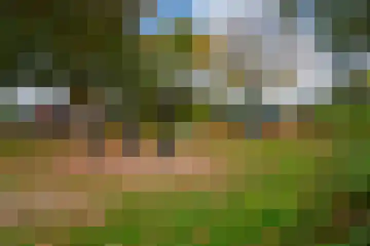 Westeinde 92 Zevenaar thumbnail 34