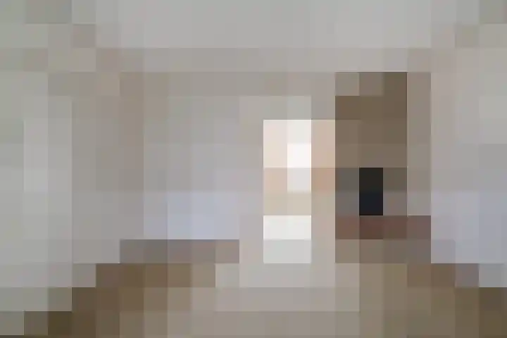 Westeinde 92 Zevenaar thumbnail 8
