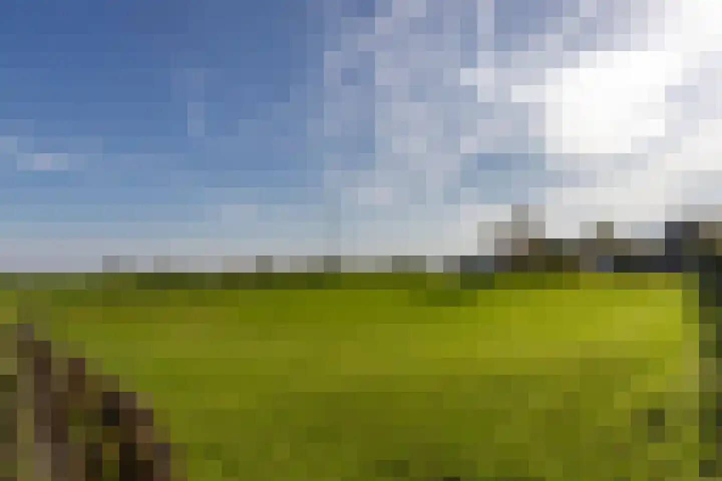Westeinde Leimuiden thumbnail 11