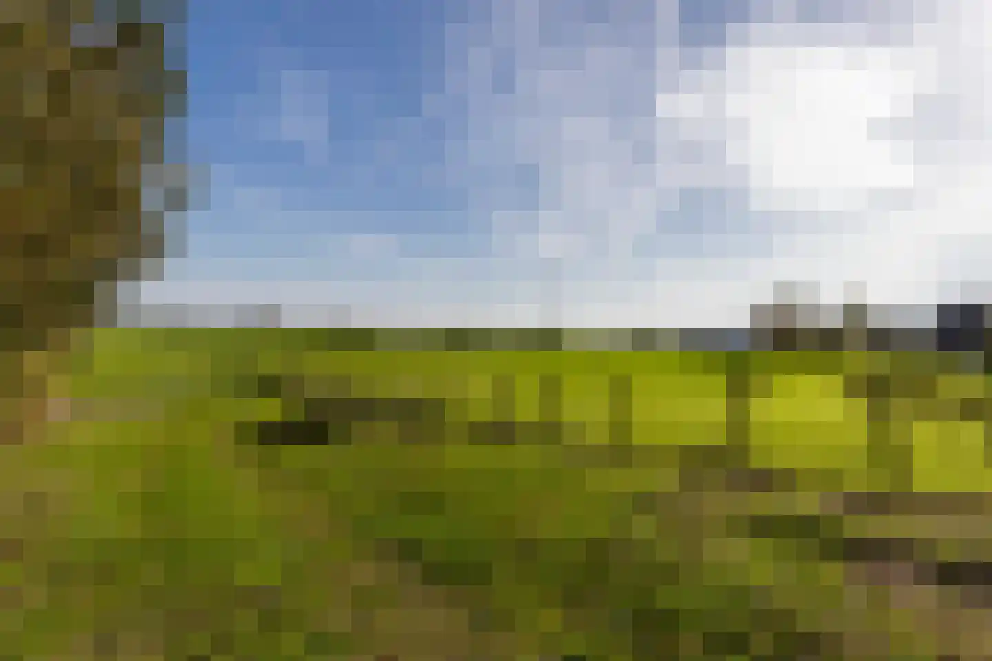 Westeinde Leimuiden thumbnail 17