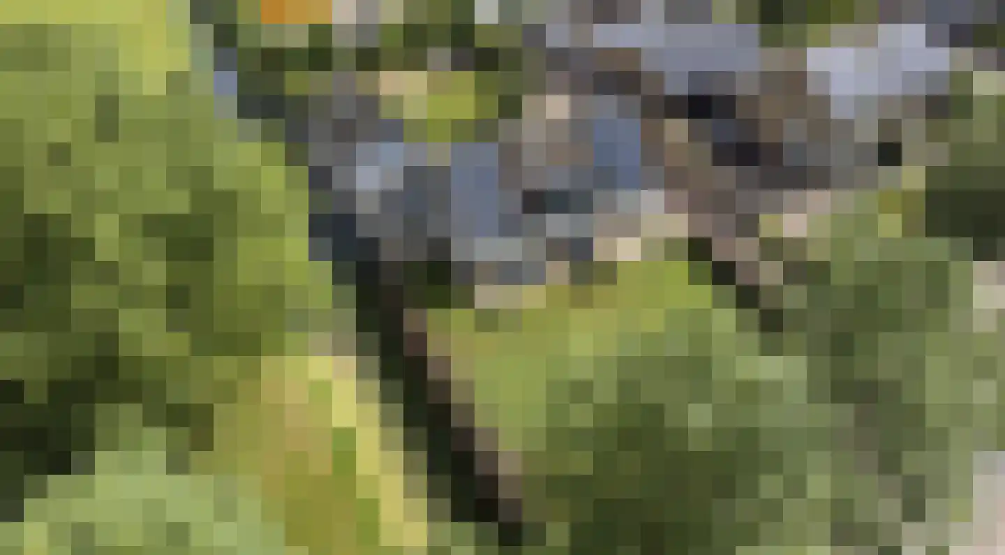 Westeinderweg 18 Wognum thumbnail 58