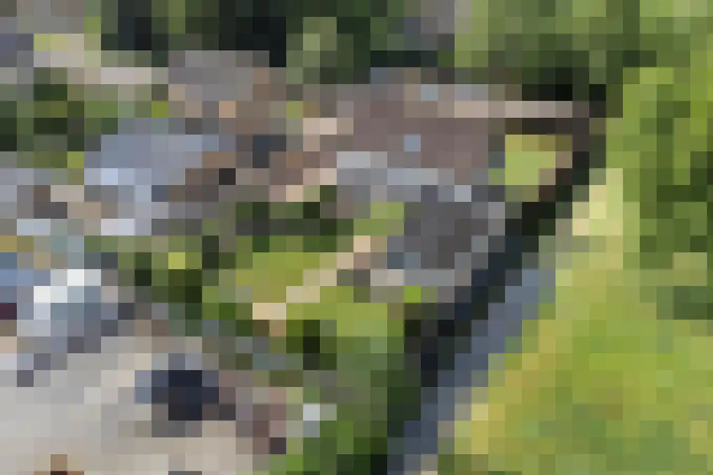 Westeinderweg 18 Wognum thumbnail 61