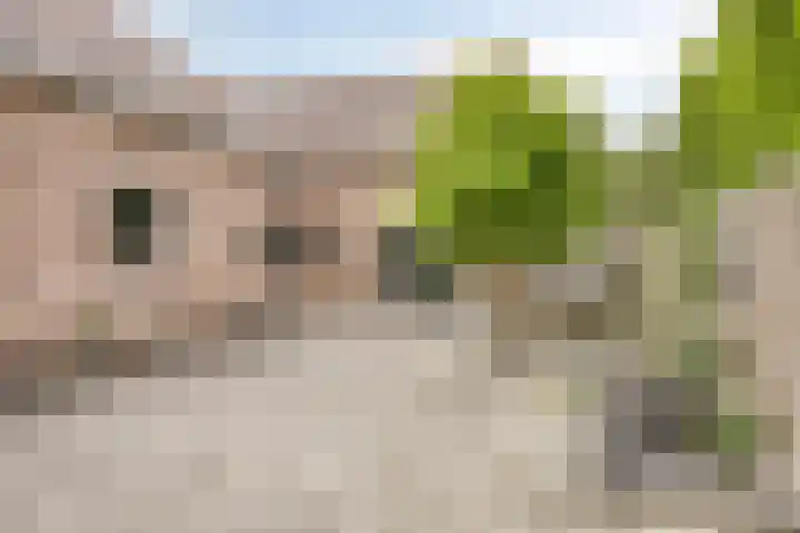 Westeinderweg 26 Wognum thumbnail 27