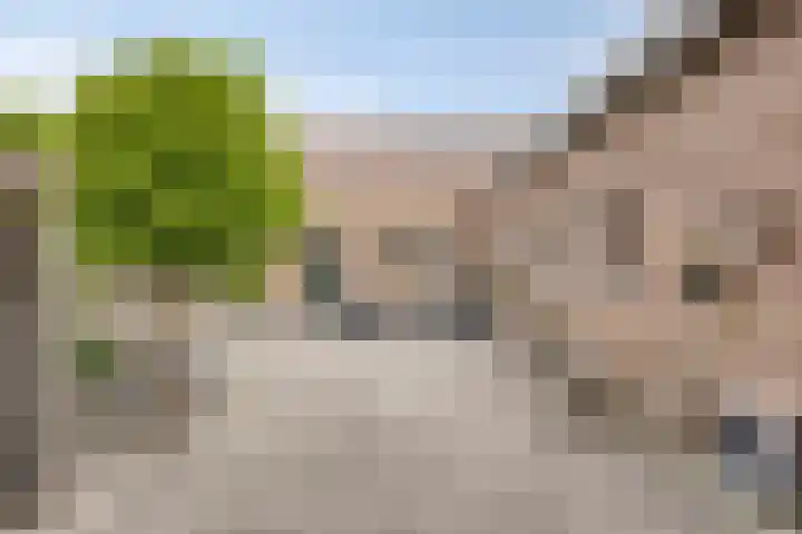 Westeinderweg 26 Wognum thumbnail 28