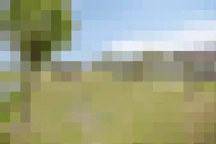Westeinderweg 26 Wognum thumbnail 32