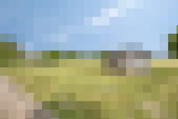 Westeinderweg 26 Wognum thumbnail 34