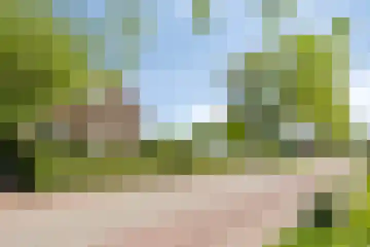 Westeinderweg 26 Wognum thumbnail 36