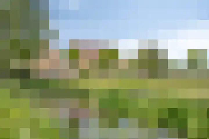Westeinderweg 26 Wognum thumbnail 39