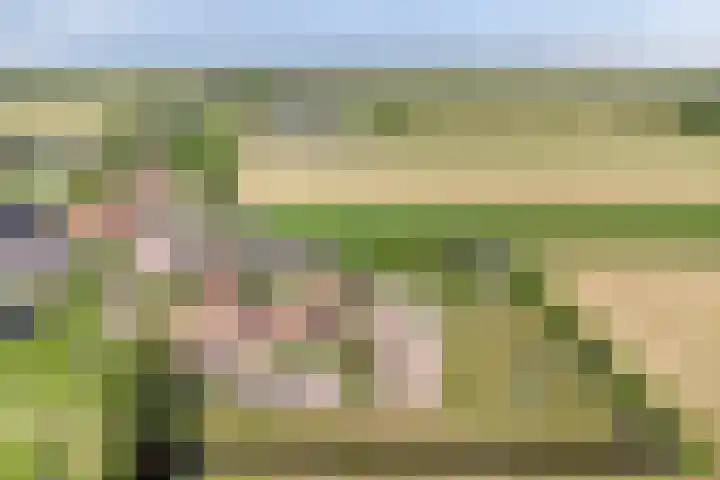 Westeinderweg 26 Wognum thumbnail 42