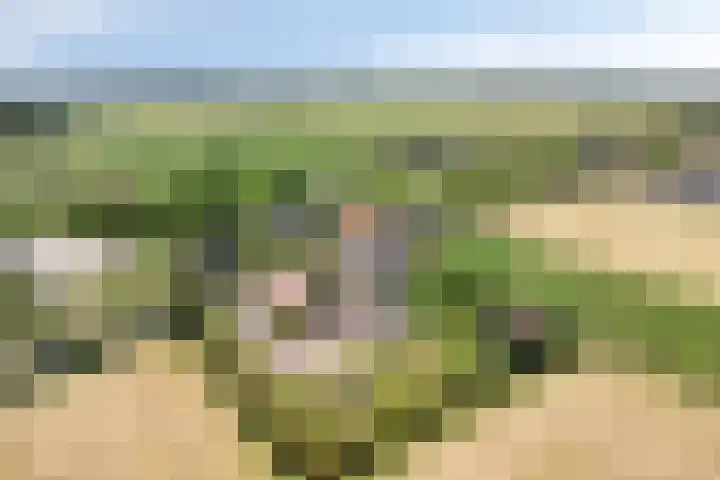 Westeinderweg 26 Wognum thumbnail 44