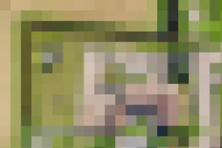 Westeinderweg 26 Wognum thumbnail 46