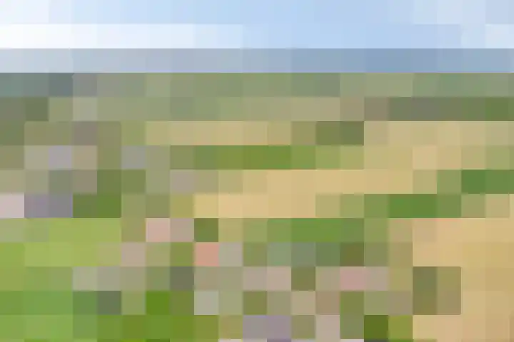 Westeinderweg 26 Wognum thumbnail 47