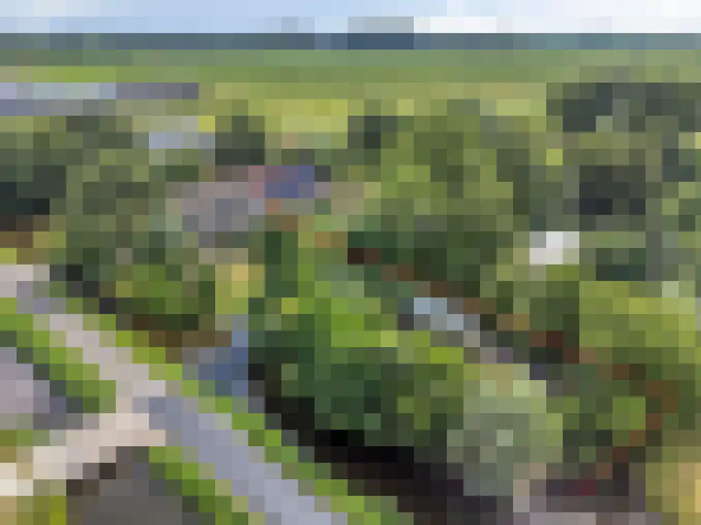 Westeindseweg 10 Zoeterwoude thumbnail 10