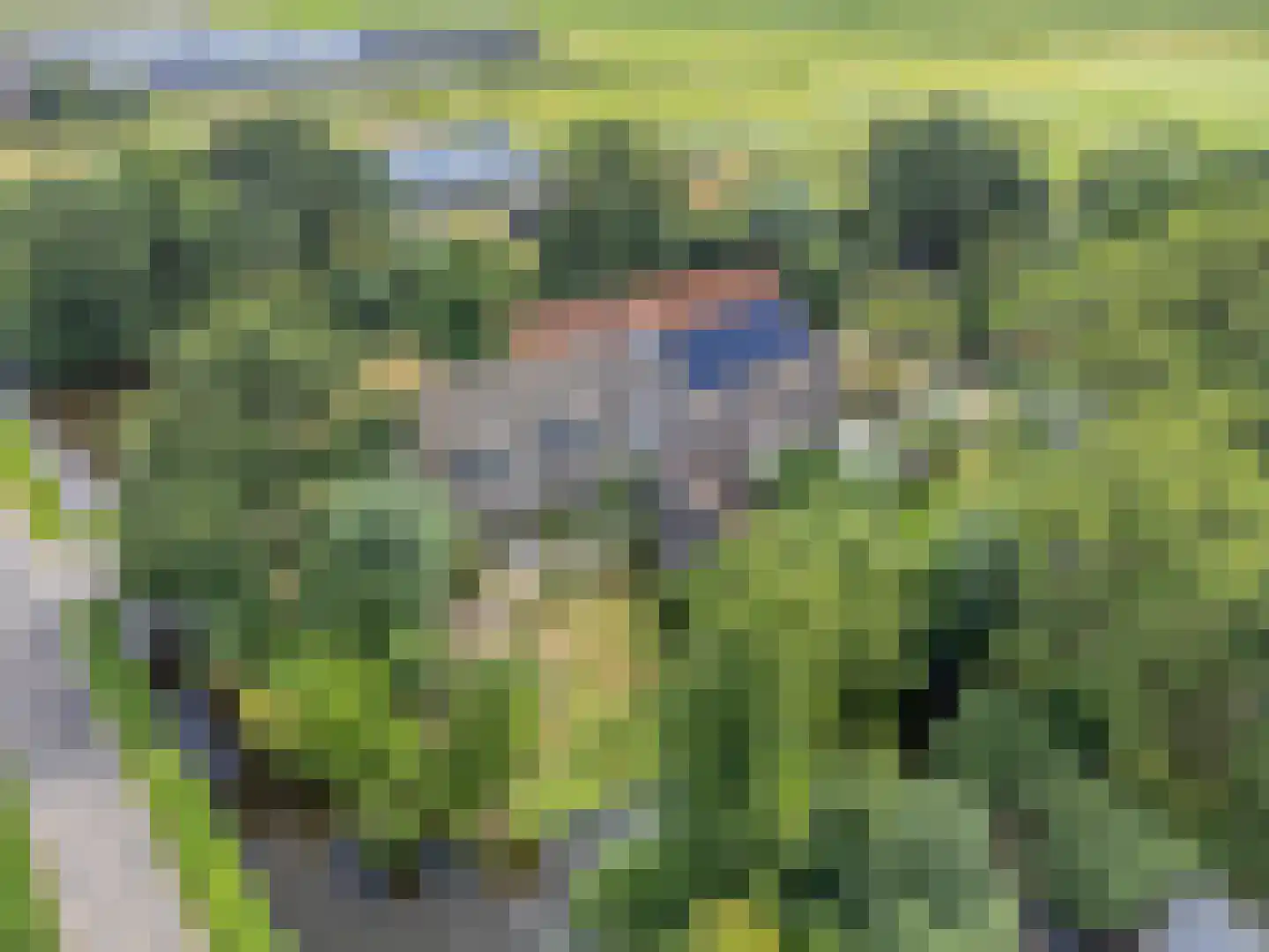Westeindseweg 10 Zoeterwoude thumbnail 11