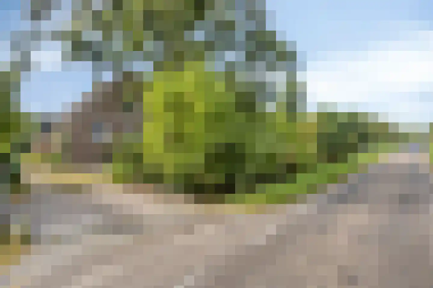 Westeindseweg 10 Zoeterwoude thumbnail 15