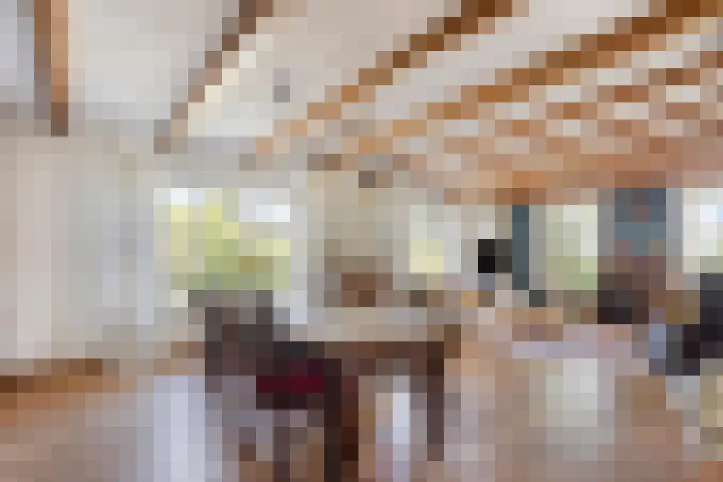 Westeindseweg 10 Zoeterwoude thumbnail 19