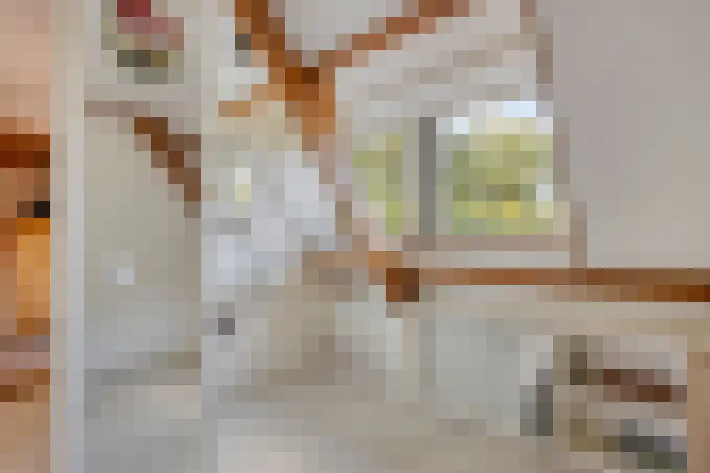 Westeindseweg 10 Zoeterwoude thumbnail 46
