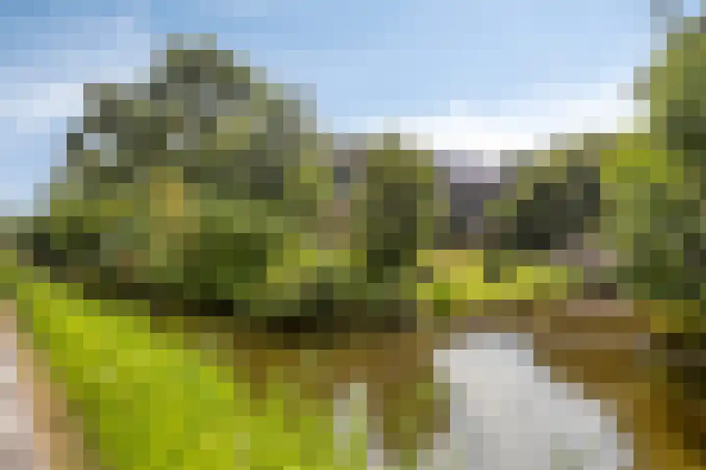 Westeindseweg 10 Zoeterwoude thumbnail 47