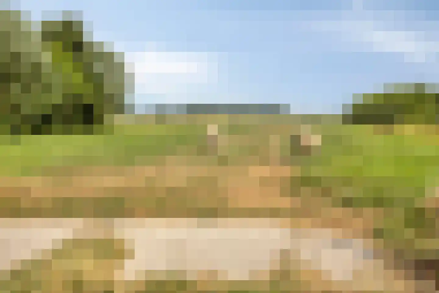 Westeindseweg 10 Zoeterwoude thumbnail 48