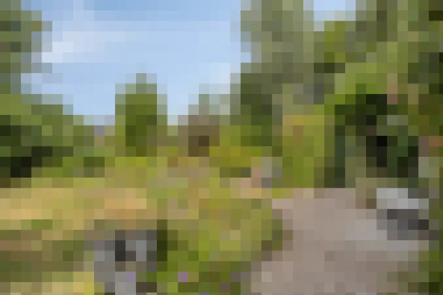 Westeindseweg 10 Zoeterwoude thumbnail 50