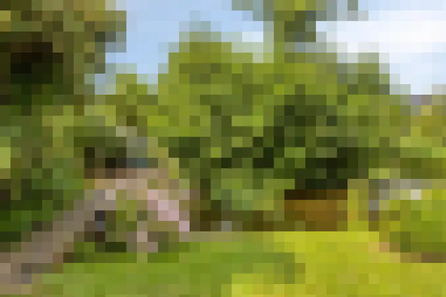 Westeindseweg 10 Zoeterwoude thumbnail 51