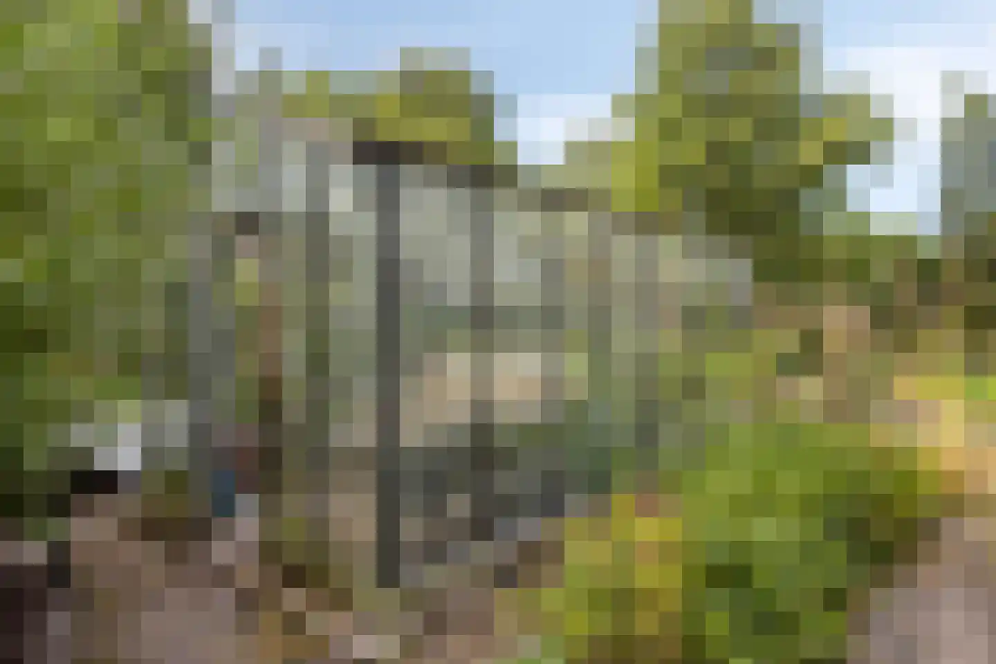 Westeindseweg 10 Zoeterwoude thumbnail 53