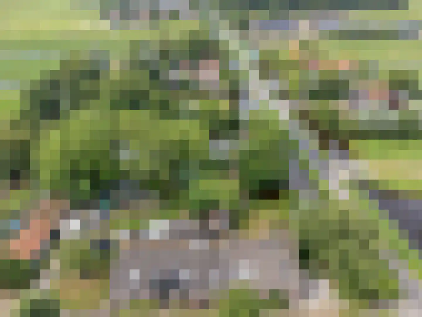 Westeindseweg 10 Zoeterwoude thumbnail 55