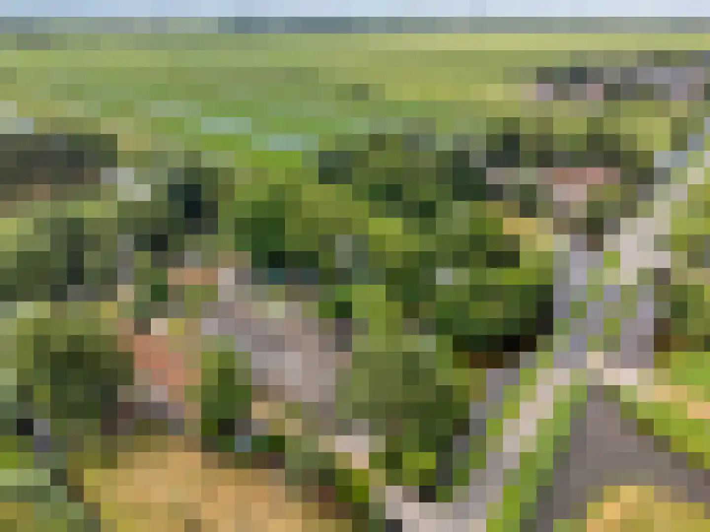 Westeindseweg 10 Zoeterwoude thumbnail 56