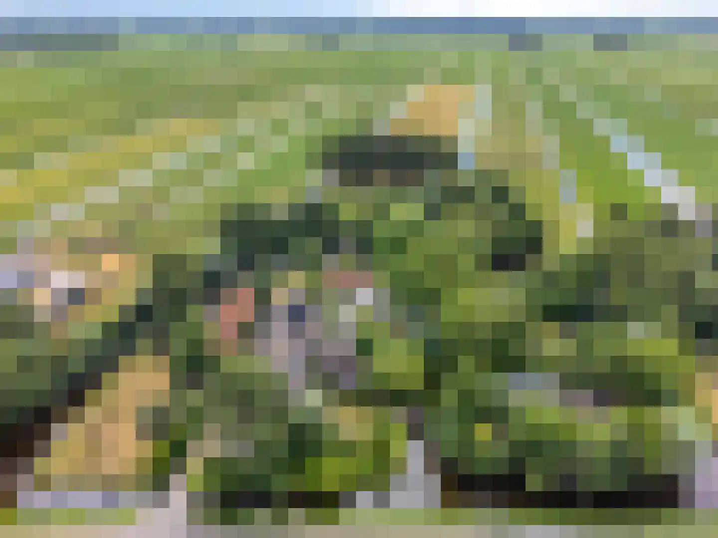 Westeindseweg 10 Zoeterwoude thumbnail 57