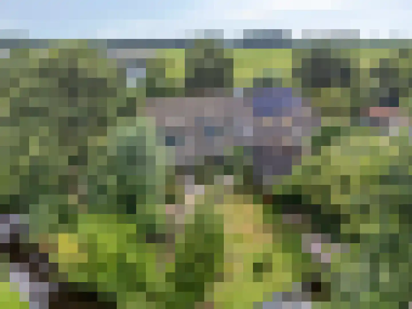 Westeindseweg 10 Zoeterwoude thumbnail 58