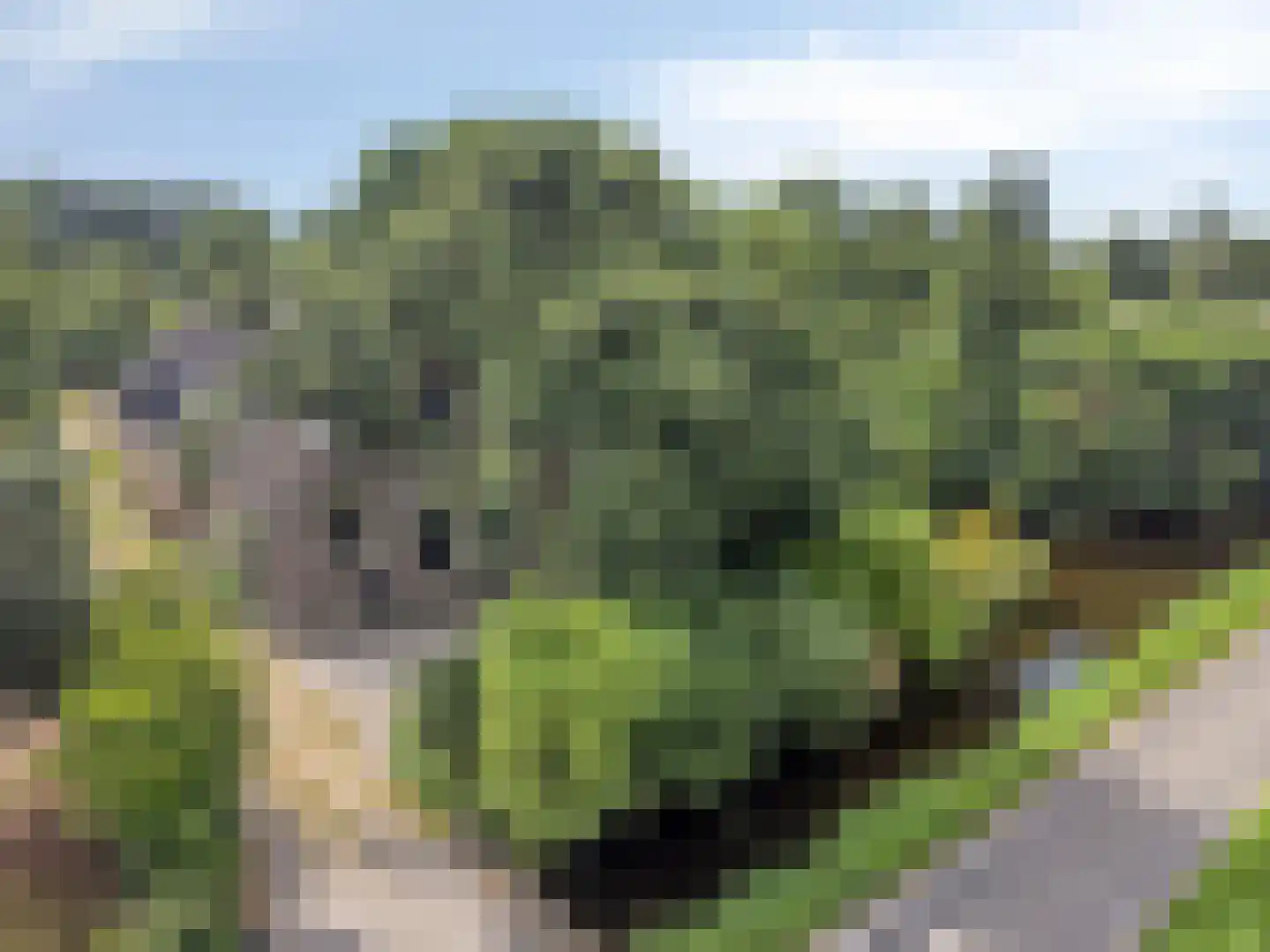 Westeindseweg 10 Zoeterwoude thumbnail 9