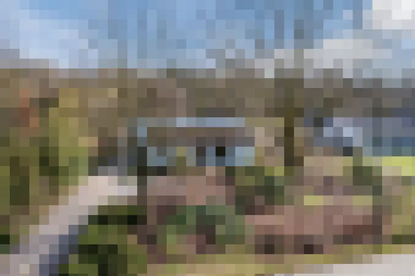 Westelbeersedijk 25 Oost West en Middelbeers thumbnail 41