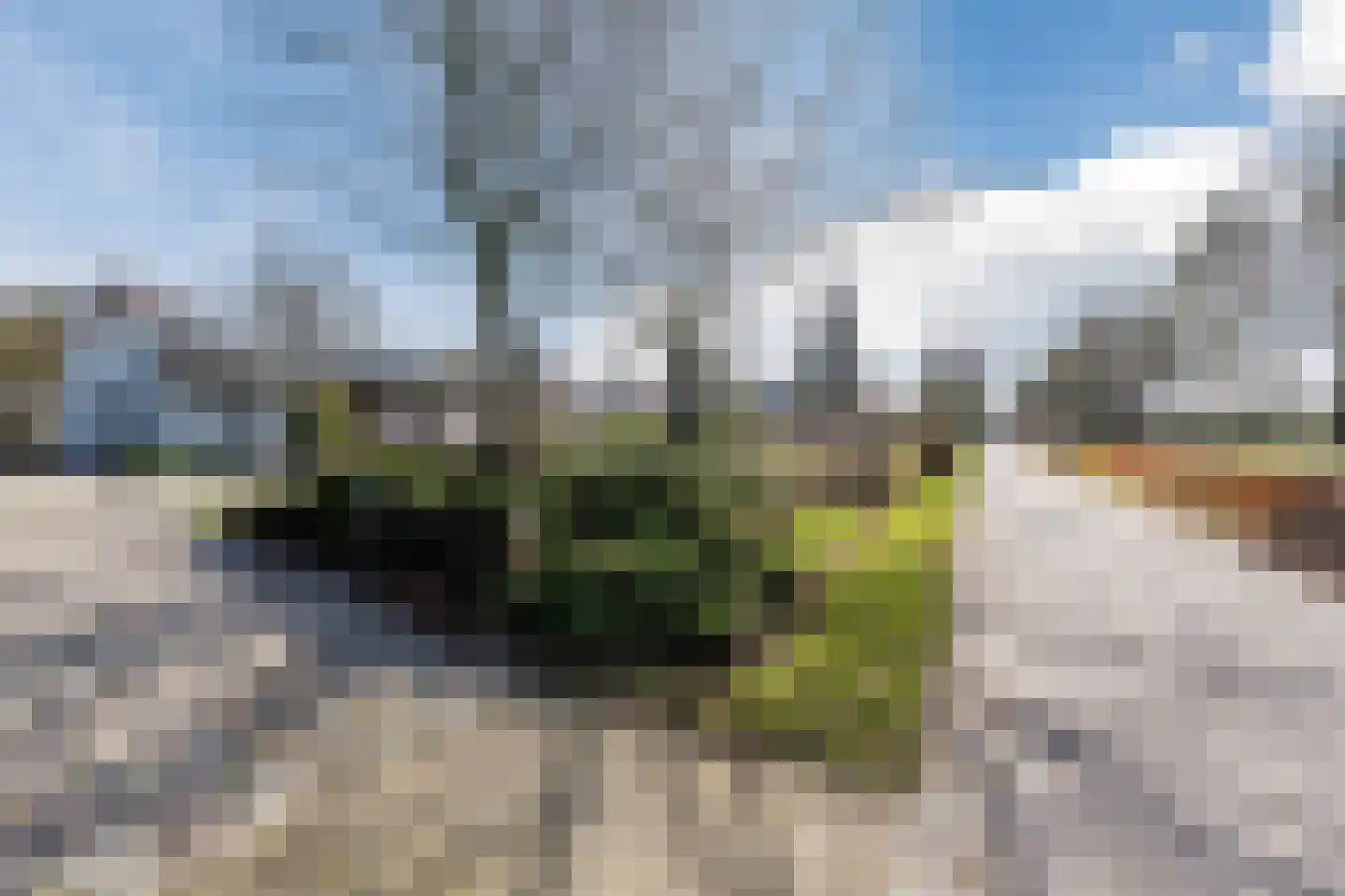 Westelbeersedijk 25 Oost West en Middelbeers thumbnail 46