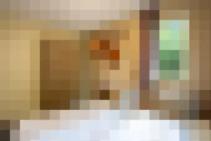 Westelbeersedijk 6 R 123 Diessen thumbnail 13
