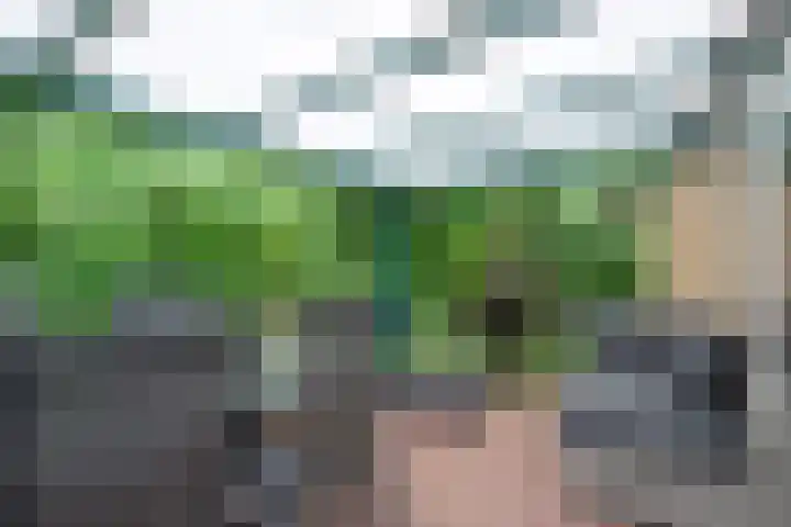 Westelbeersedijk 6 R 123 Diessen thumbnail 20