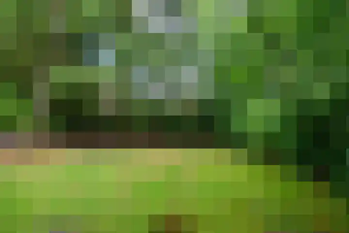 Westelbeersedijk 6 R 123 Diessen thumbnail 22