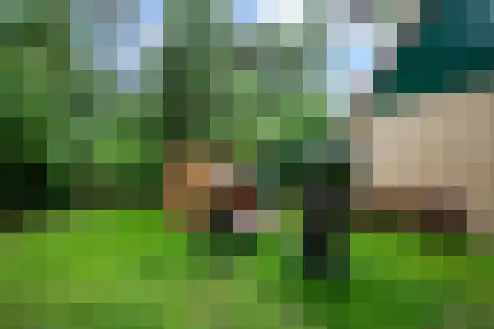 Westelbeersedijk 6 R 123 Diessen thumbnail 23