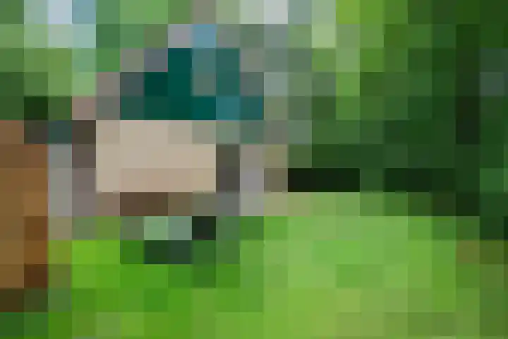 Westelbeersedijk 6 R 123 Diessen thumbnail 24