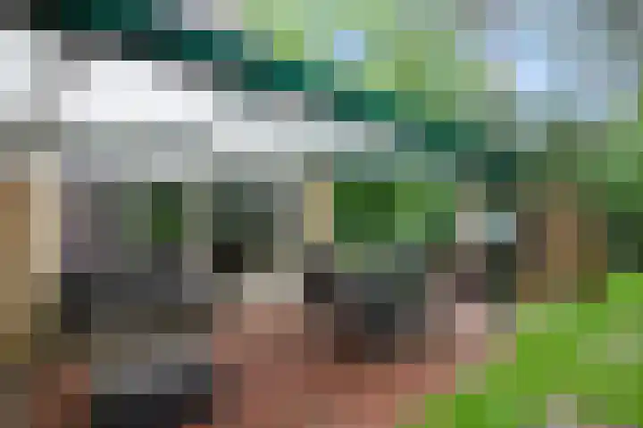 Westelbeersedijk 6 R 123 Diessen thumbnail 25