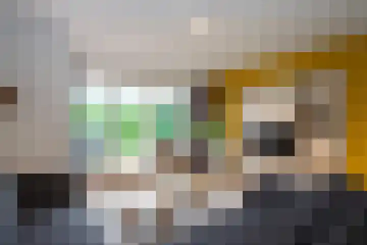 Westelbeersedijk 6 R 123 Diessen thumbnail 5