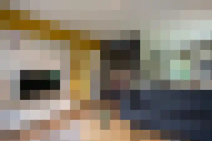 Westelbeersedijk 6 R 123 Diessen thumbnail 6