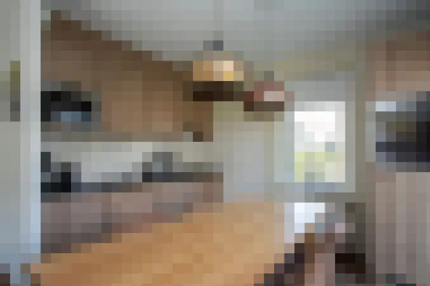 Westelbeersedijk 6 R 60 Diessen thumbnail 10