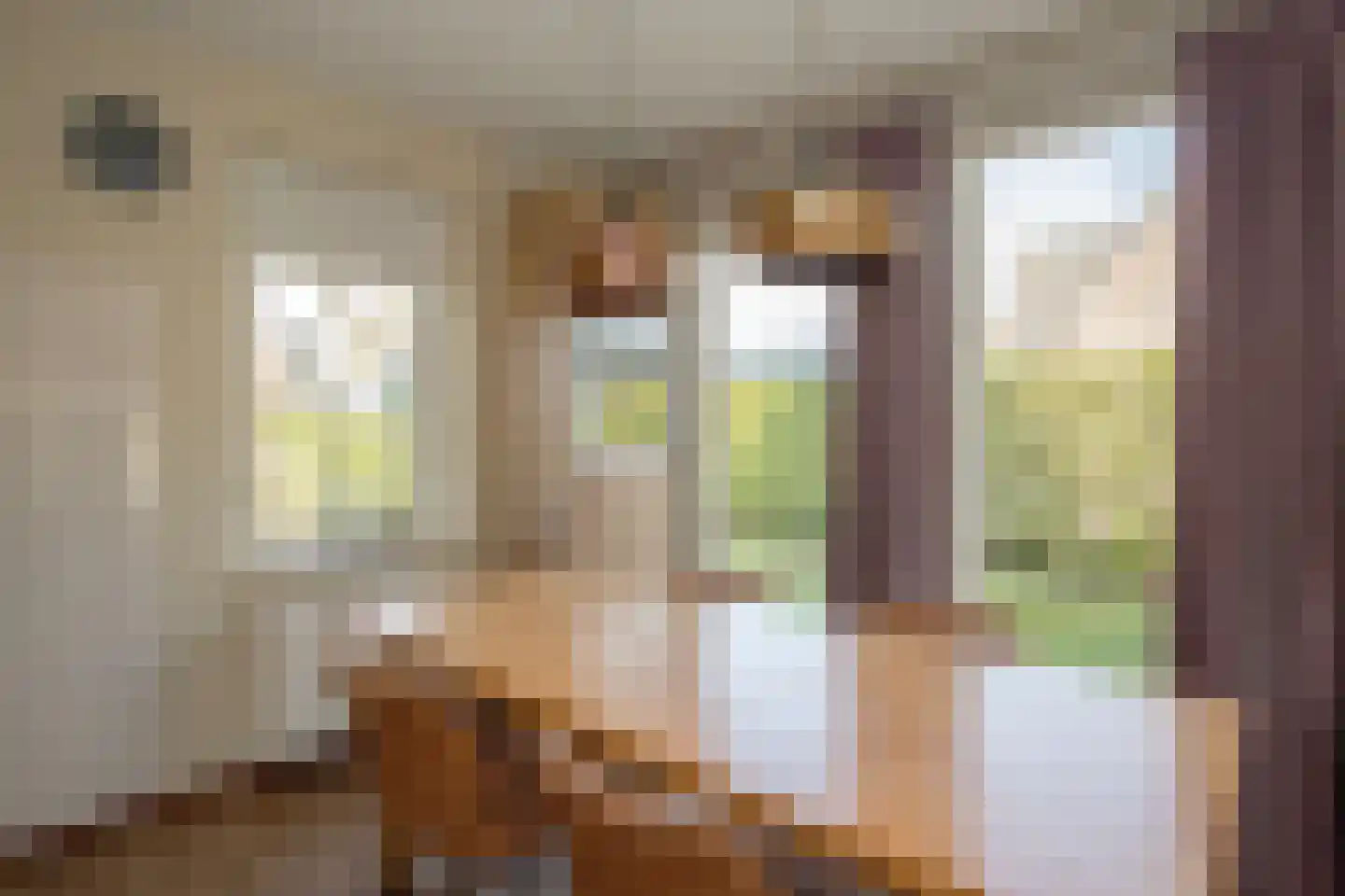 Westelbeersedijk 6 R 60 Diessen thumbnail 13