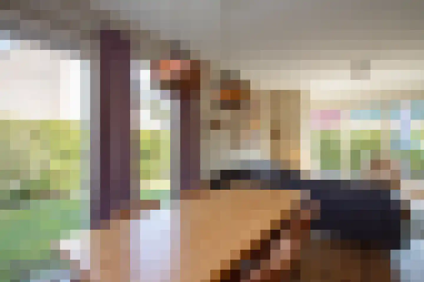 Westelbeersedijk 6 R 60 Diessen thumbnail 9