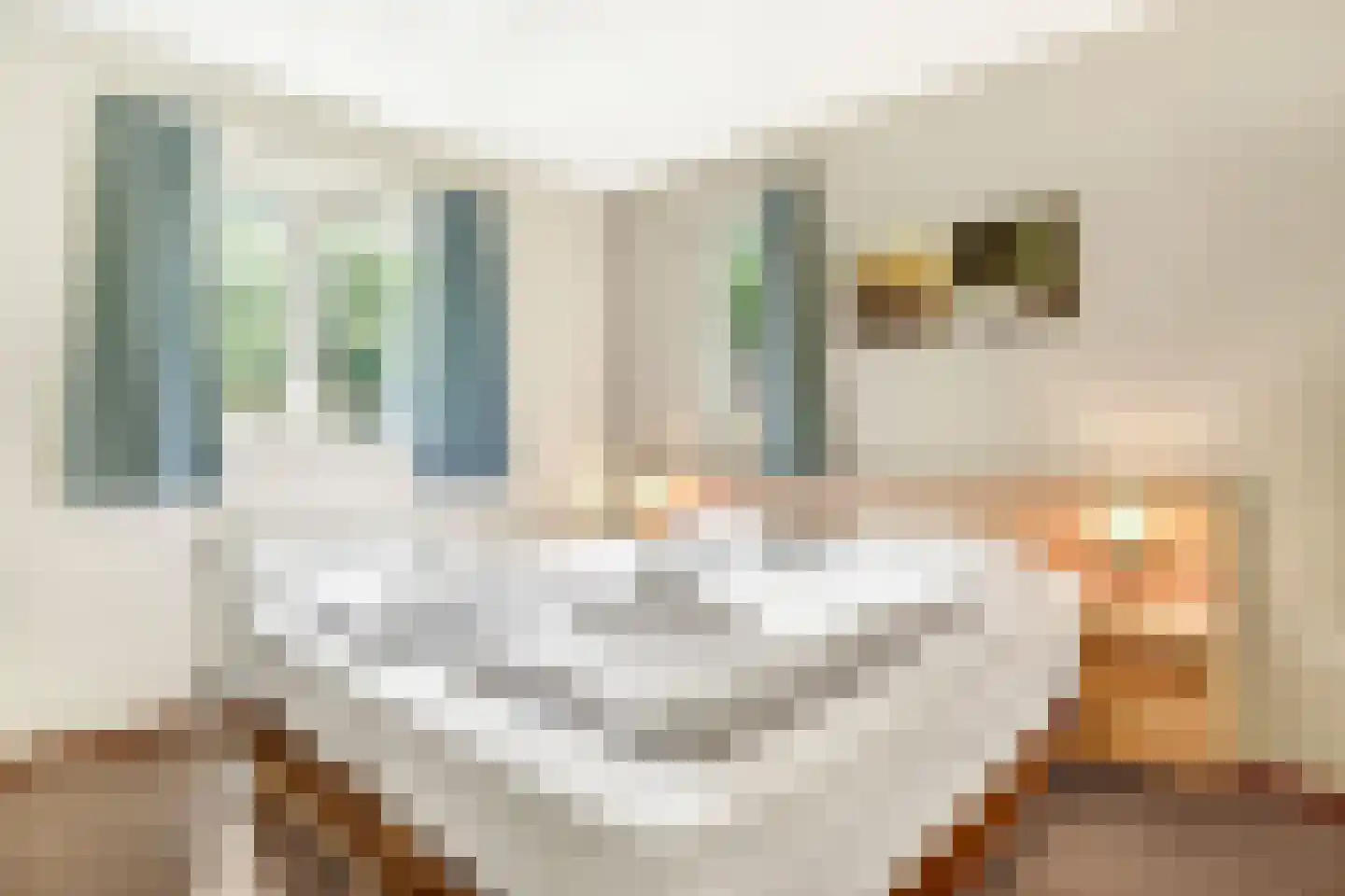 Westelbeersedijk 6 R 82 Diessen thumbnail 9