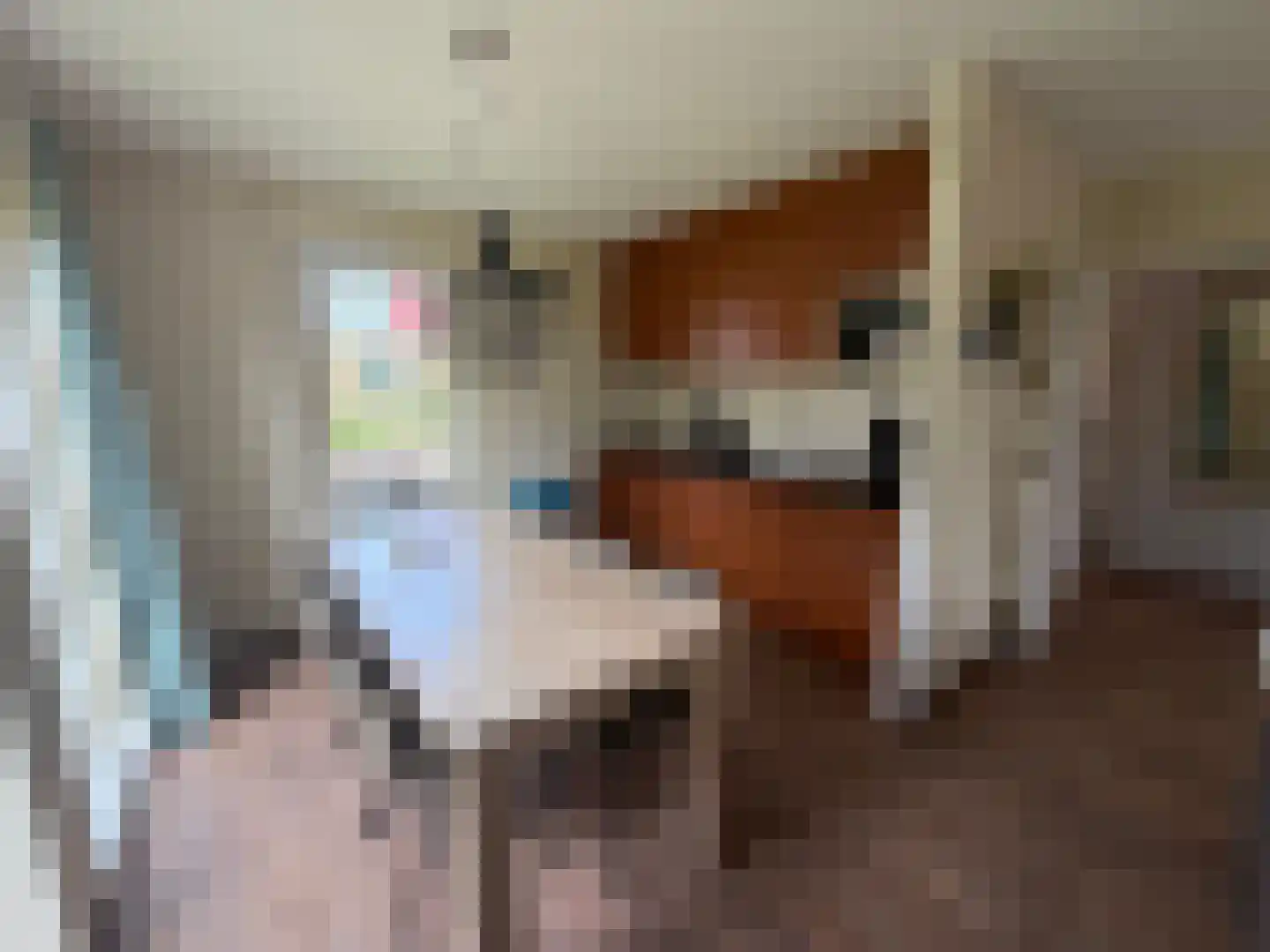 Westelbeersedijk 6 R 91 Diessen thumbnail 4