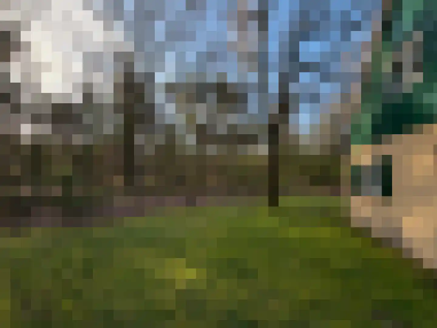 Westelbeersedijk 6 R 91 Diessen thumbnail 5