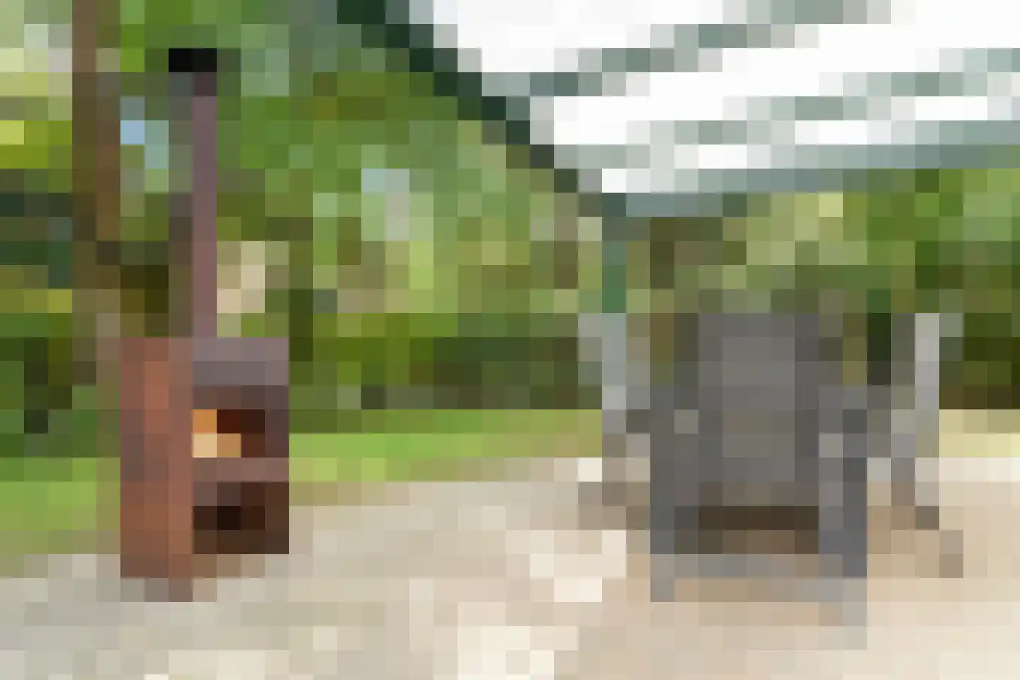 Westelbeersedijk 6 R 91 Diessen thumbnail 6