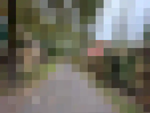 Westelbeersedijk 6 R 92 Diessen thumbnail 19